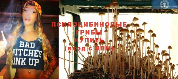 МДПВ Аркадак