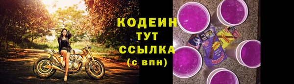 эйфоретик Баксан
